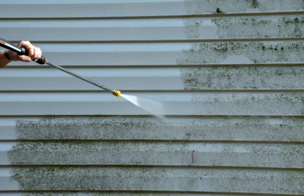 Attic Mold Removal in Spirit Lake, IA