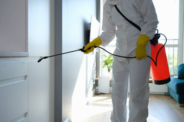 Best Commercial Mold Removal  in Spirit Lake, IA